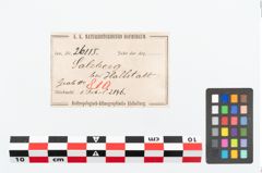 Etikett zu Bronzebrillenfibel (NHMW-PRAE-026115)